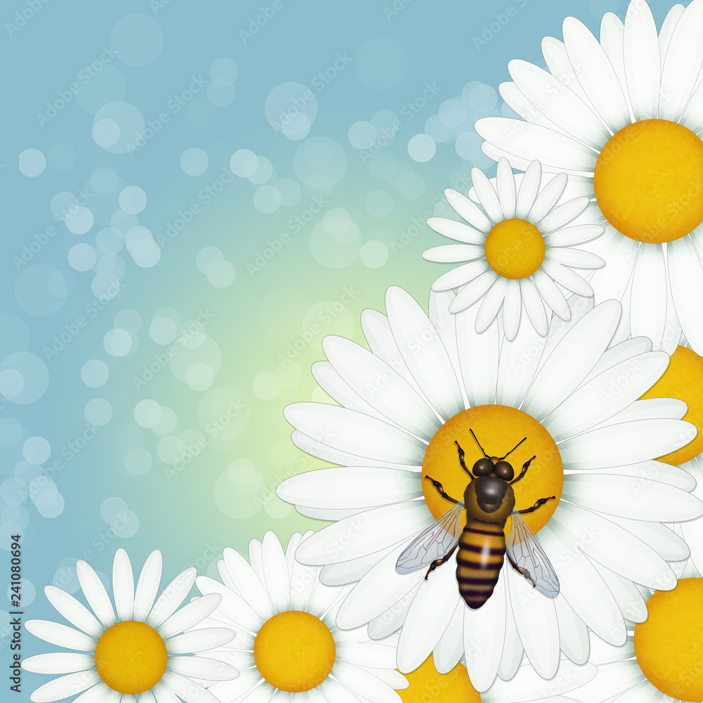 Poster illustration of bee on daisies