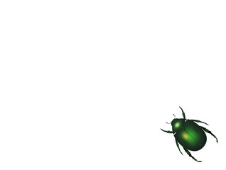 illustration of green cockchafer on white background
