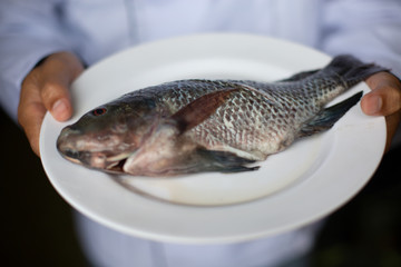 Asian chef in the kitchen