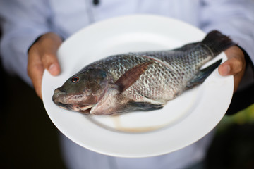 Asian chef in the kitchen