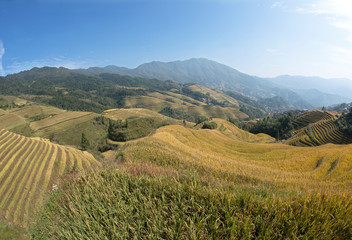 A scenic view of Dragon's Backbone Rice Terraces, Longsheng, Guangxi, Dazhai Village Long Sheng, Guilin (prefecture), China. The Dragon's Backbone Rice Terraces is a beautiful natural picture.