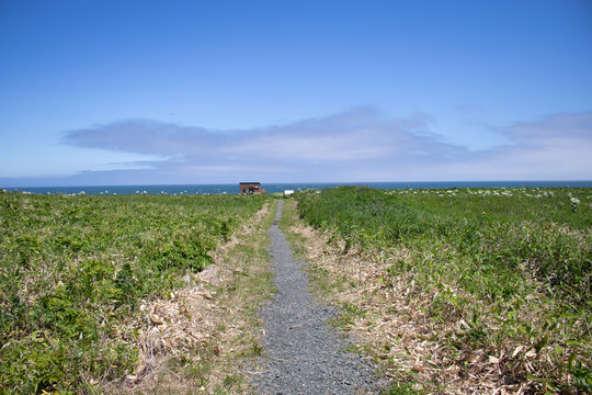 「チャシ」の画像 63 件の Stock 写真、ベクターおよびビデオ Adobe Stock