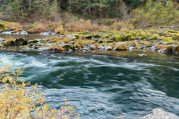The Umpqua River in Richard G. Baker Park, Oregon, USA