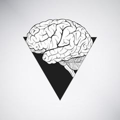 Нuman brain in a triangular window
