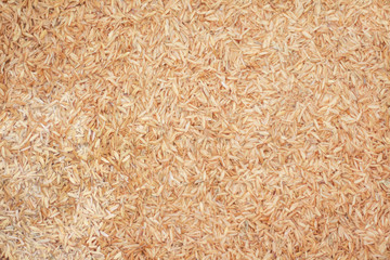 Shell of paddy texture nature for background  ,walkway  husks in farm