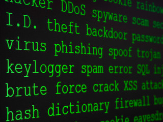 Hacker's dictionary displayed on the computer screen