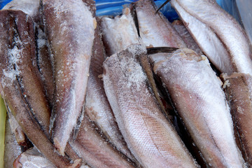 Frozen Argentine Hake