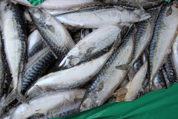 Fototapeta premium Frozen fish at the market. Frozen Mackerel
