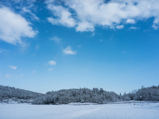 雪の積もった田んぼ