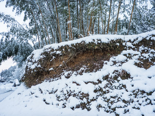 土砂崩れと雪
