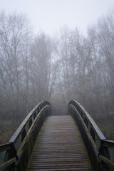 Plakat dia de niebla en el puente del bosque