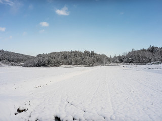 雪の積もったたんぼ