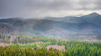 Fototapeta premium Blick vom Neuntelstein in die Vogesen