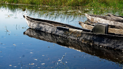 Fototapeta na wymiar Closeup makoro dugout canoes, Okavango Delta, Botswana.