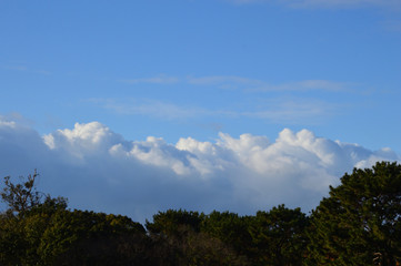 Fototapeta na wymiar 冬の空の雪雲