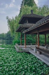 Obraz premium Traditional Chinese pavilion by water covered with lotus leaves, at West Lake, Hangzhou, China