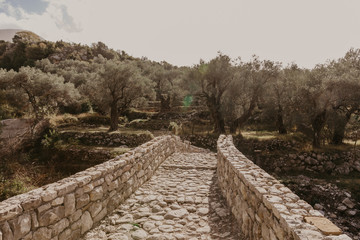 old stone bridge leading to the olive groveю