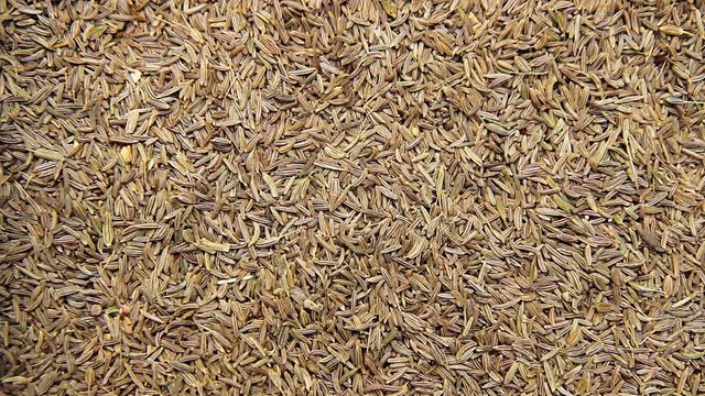 Cumin seeds.