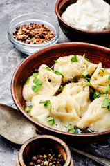 Homemade meat dumplings