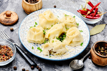 Dumplings with meat