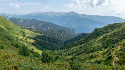 Fototapeta premium View over the Green Valley, surrounded by mountains vyskokimi on a clear summer day. Krasnaya Polyana, Sochi, Caucasus, Russia.