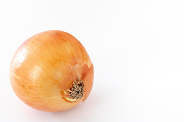 玉ねぎ　白バック