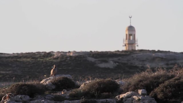 Islamic Mosque in Isreal
