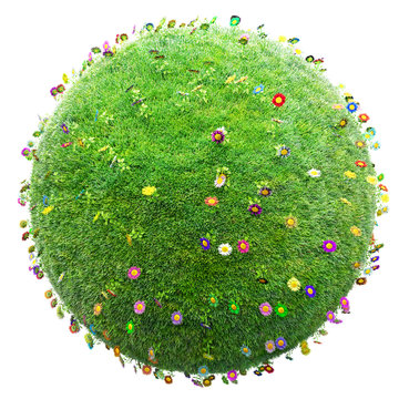 green grass and flowers planet on white background