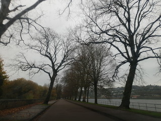 road in the park