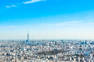 Fototapeta premium スカイツリーの見える東京の風景