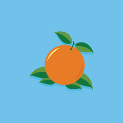 Orange Fruit Vector Illustration