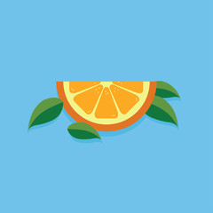 Orange Fruit Vector Illustration
