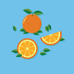 Orange Fruit Vector Illustration