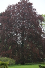 fotografias de paisajes varios naturaleza 