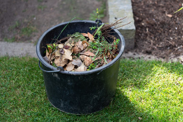 Eimer mit Bioabfällen