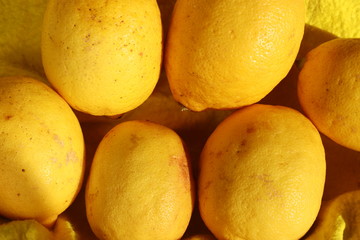 Ripe lemons for lemonade