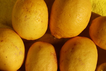 Yellow fresh lemons standing in group. Stock photo.