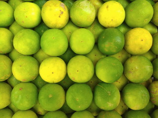 Fresh lime. Citrus fruit. Green limes background. Pile of Lime fruits