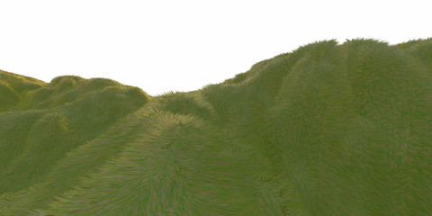 Green grass hills lit by warm sunlight with the white background aerial top view from drone or plane. Copyspace for your text. 3d illustration render