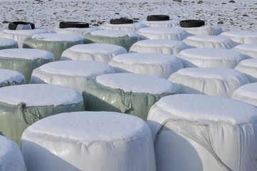 Strohballen im Winter