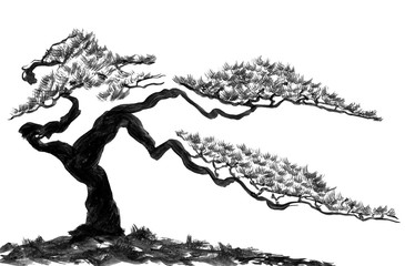 Fototapeta premium Chinese pine. Watercolor and ink illustration in style sumi-e, u-sin. Oriental traditional painting. Isolated on the white background.