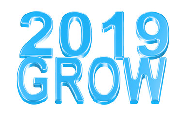 3d illustration of grow 2019 in blue color