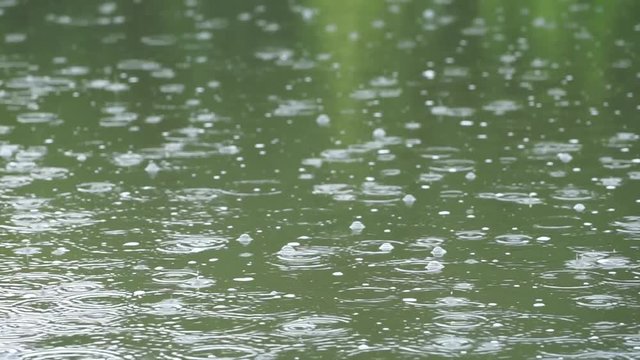 Heavy rain on water. Raindrops and bubbles. Water drops fall into the reservoir.