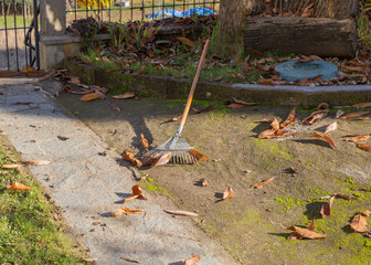 horizontal image with detail of garden tools to collect dry leaves
