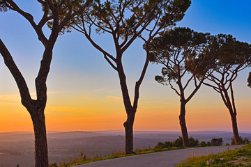 Italy, Castel del Monte, surrounding nature sunset