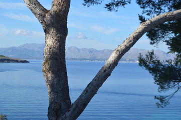 Espa&ntilde;a, Mallorca