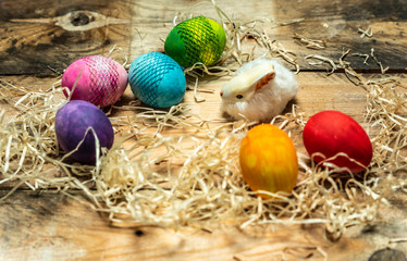 beautiful, bright, very colorful hand-painted eggs on a contrasting, raw, natural background from wooden planks