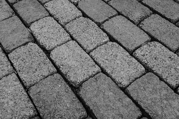 stony bricks