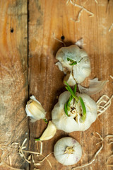 garlic heads letting green sprouts on a natural, wooden background
