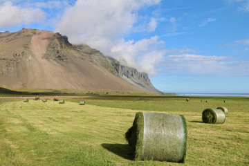 Heuernte auf Island